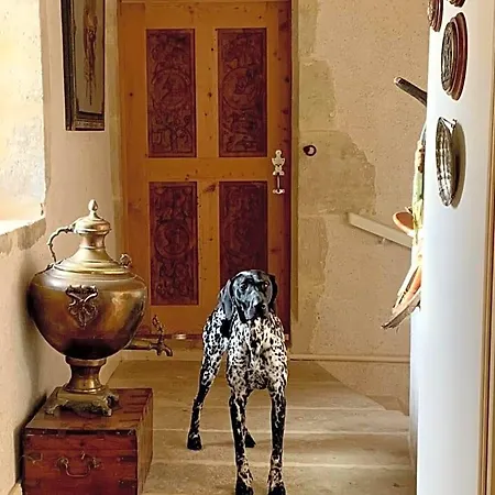 Logis De La Touche Bed & Breakfast